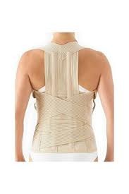 MİSİNALI DORSELUMBER